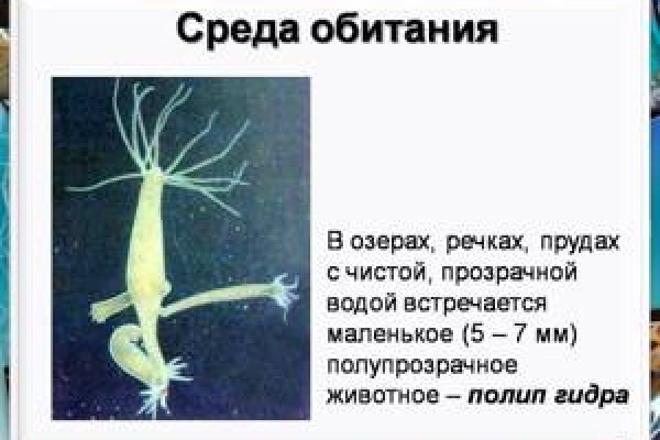 Кракен маркет зеркало