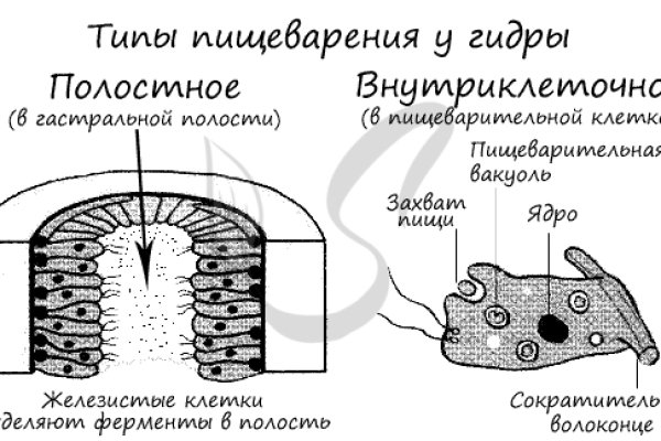 Кракен сайт store