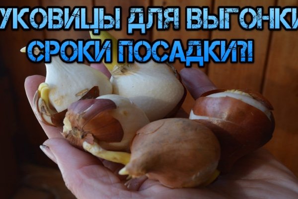 Гидра даркнет рынок