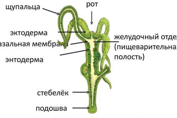 Кракен официальный сайт 2krnk