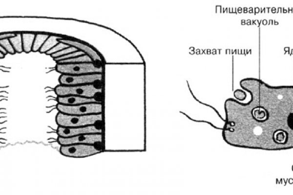 Что за площадка кракен