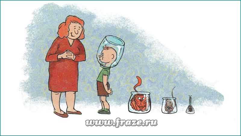 Как зайти на кракен с айфона