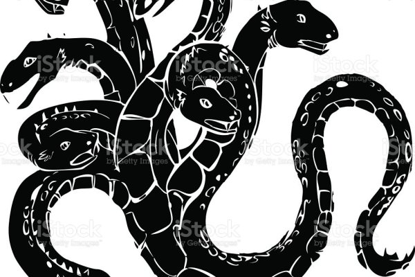 Kraken19 at